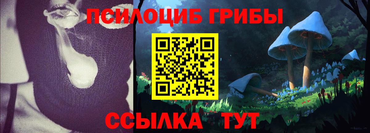 Псилоцибиновые грибы ЛСД  Вход с VPN  Анжеро-Судженск 